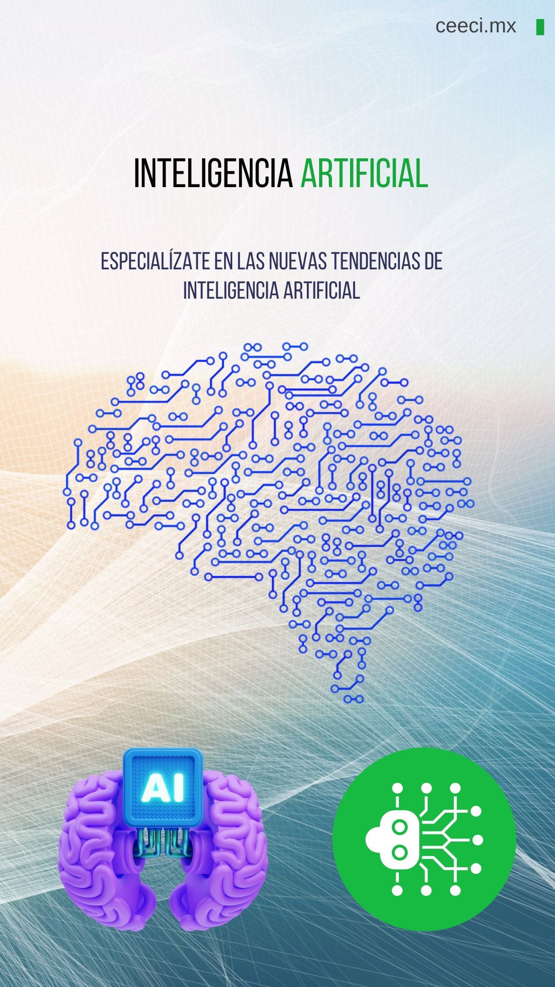 Licenciatura en Sistemas Computacionales e Informática