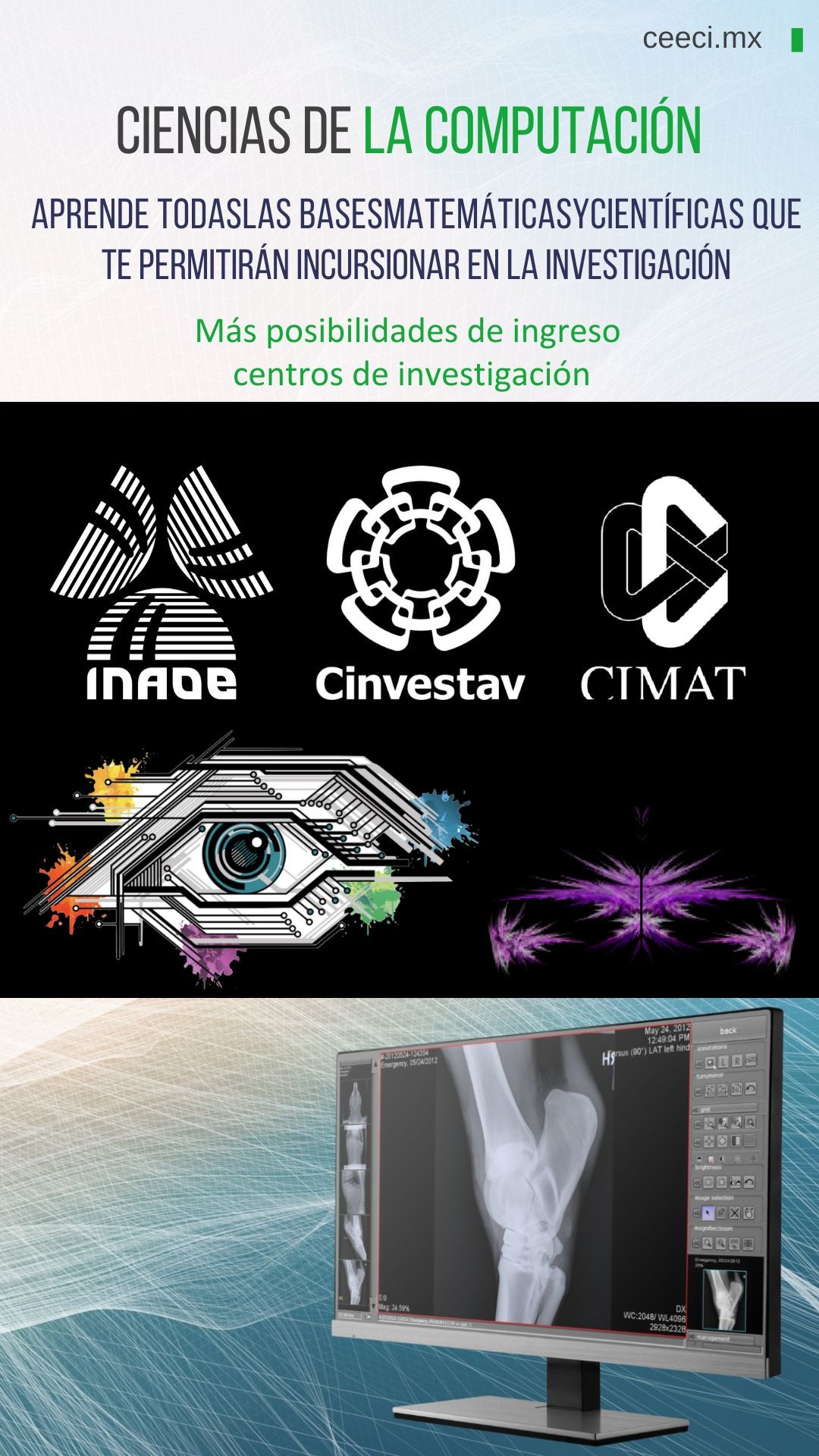 Licenciatura en Sistemas Computacionales e Informática