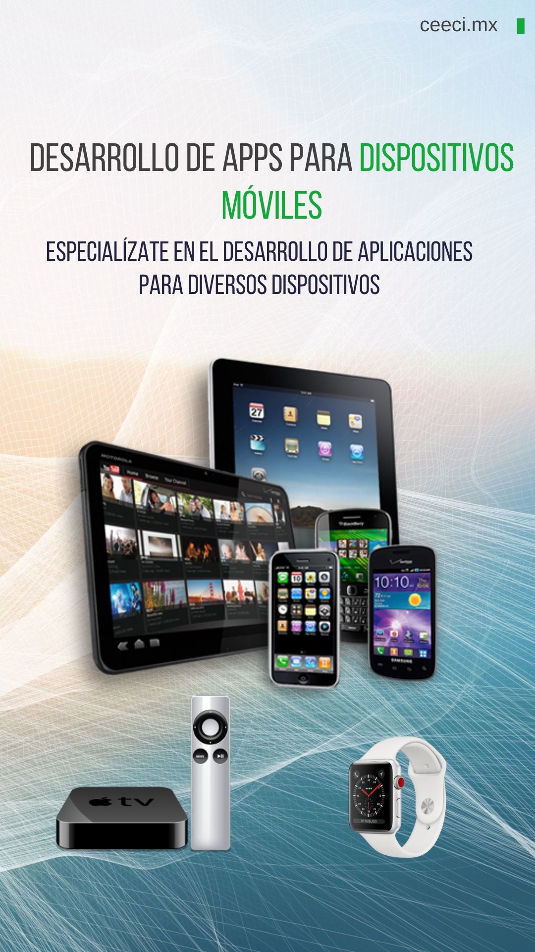 Licenciatura en Sistemas Computacionales e Informática