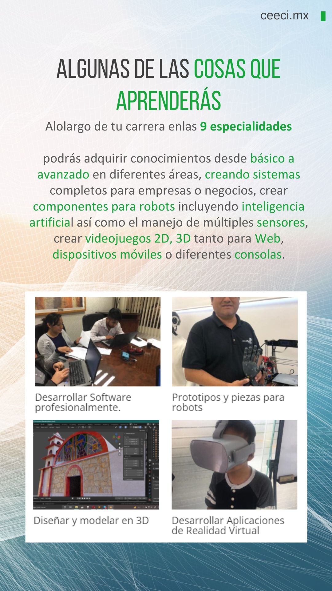 Licenciatura en Sistemas Computacionales e Informática