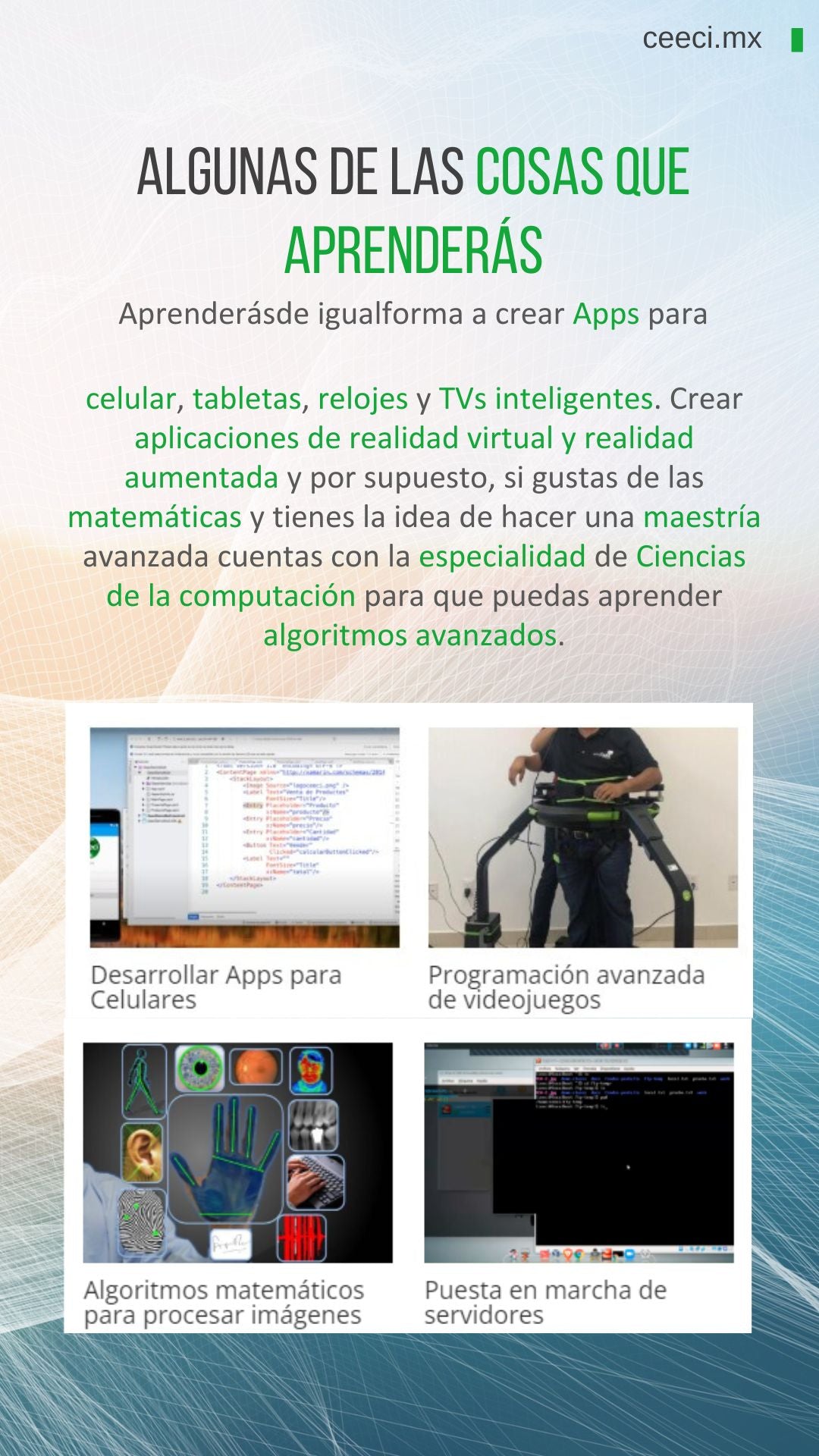 Licenciatura en Sistemas Computacionales e Informática