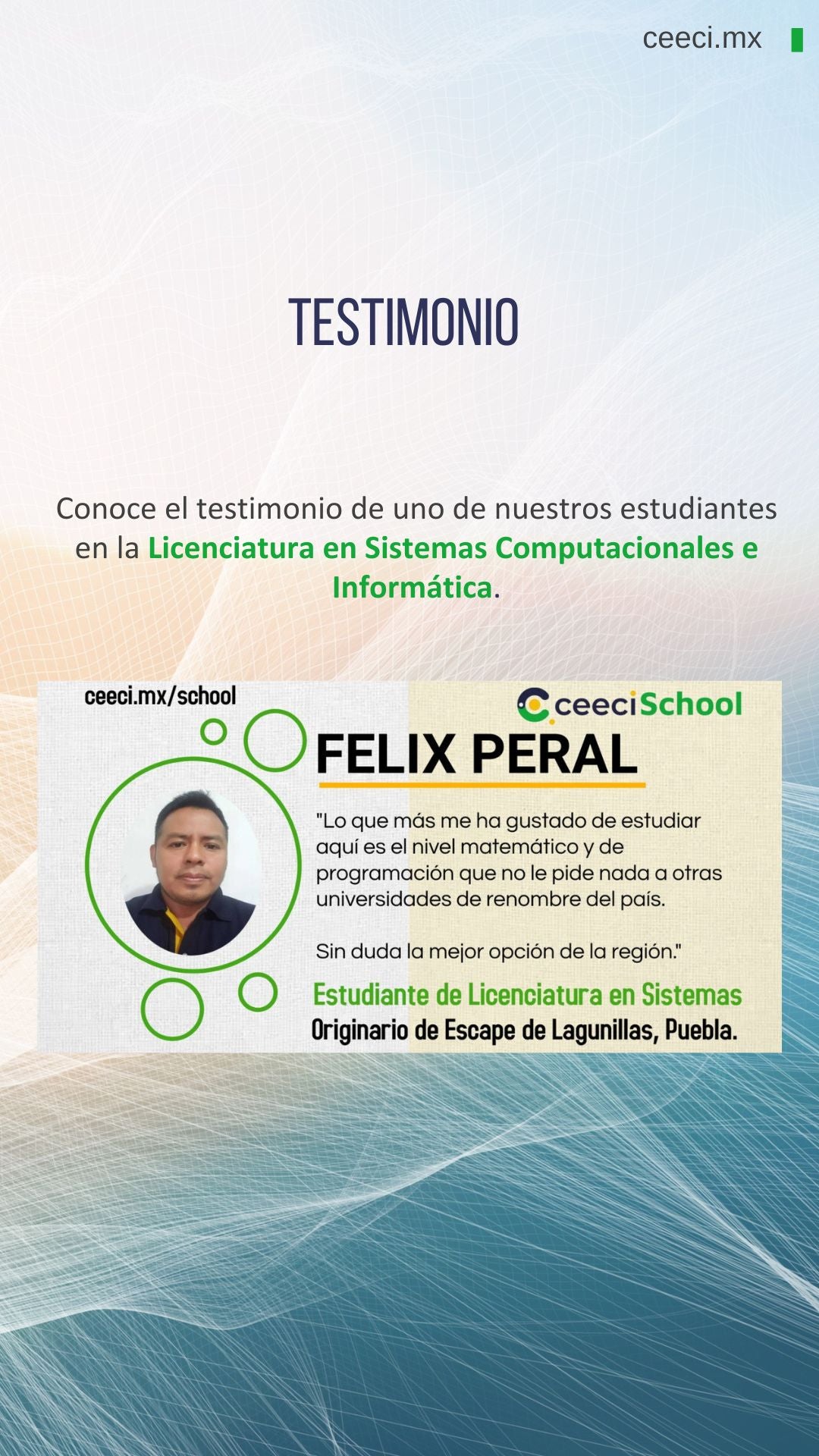 Licenciatura en Sistemas Computacionales e Informática