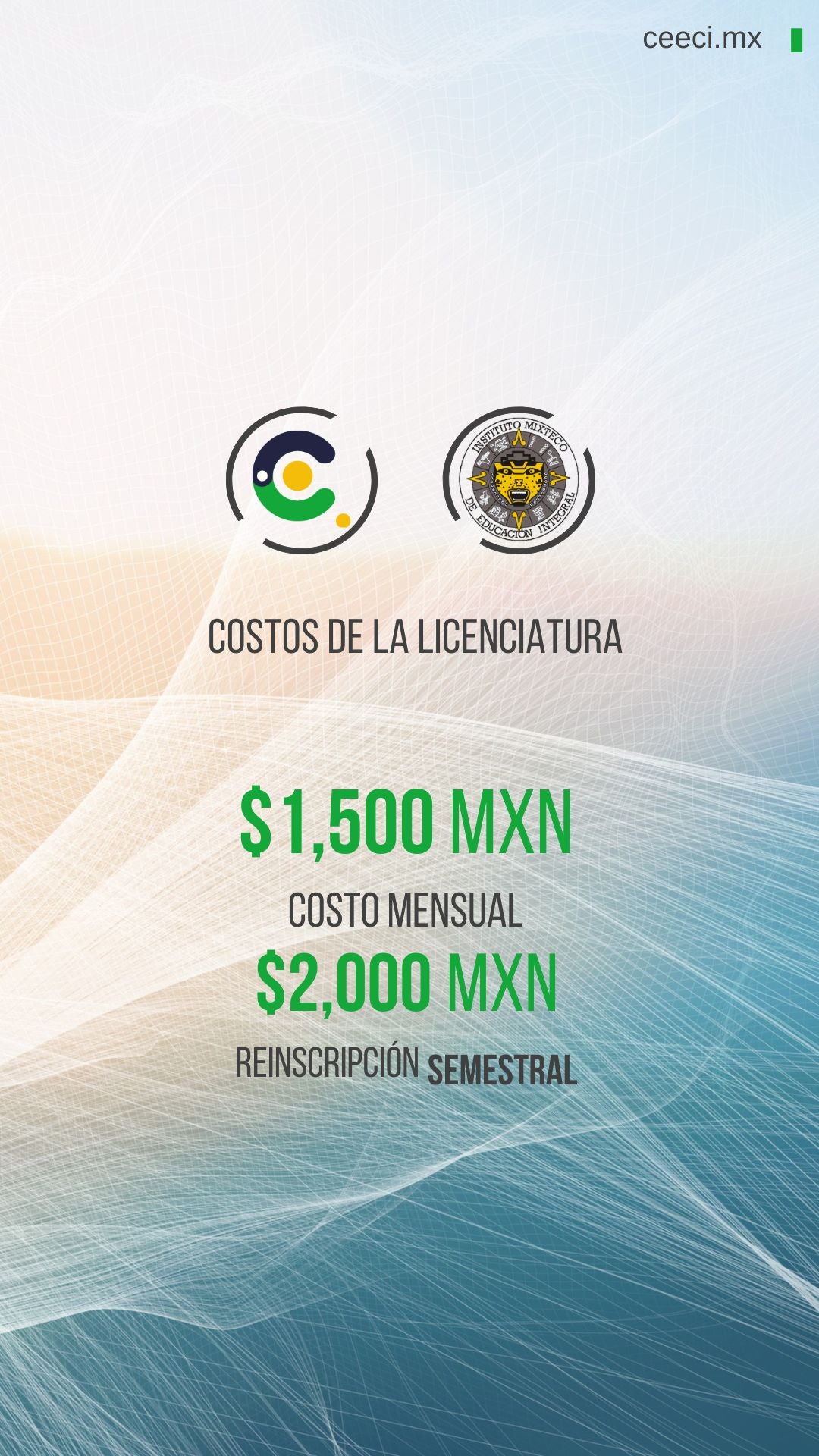 Licenciatura en Sistemas Computacionales e Informática