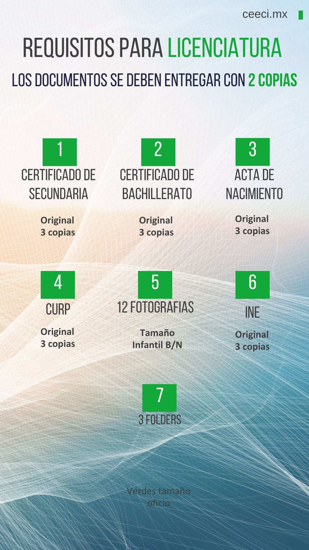 Licenciatura en Sistemas Computacionales e Informática