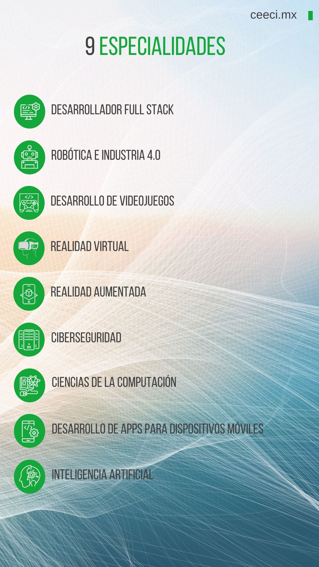 Licenciatura en Sistemas Computacionales e Informática