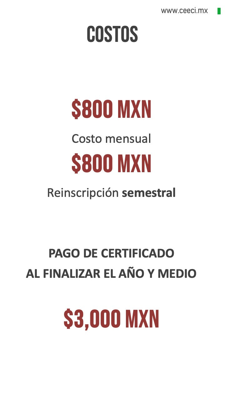 Bachillerato No Escolarizado