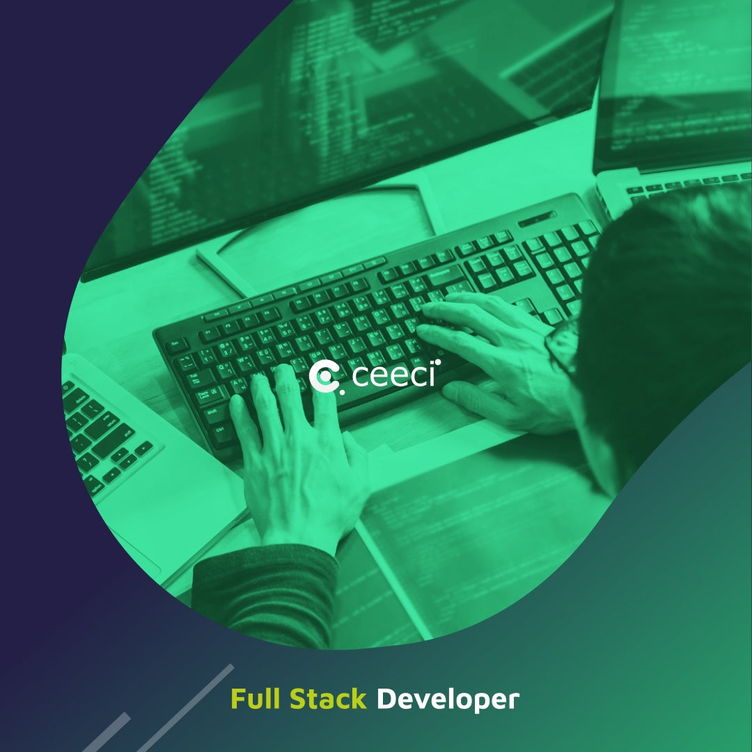 Full Stack Developer
