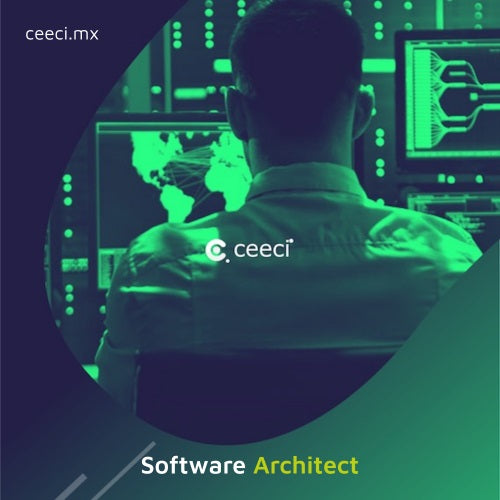Software Architect