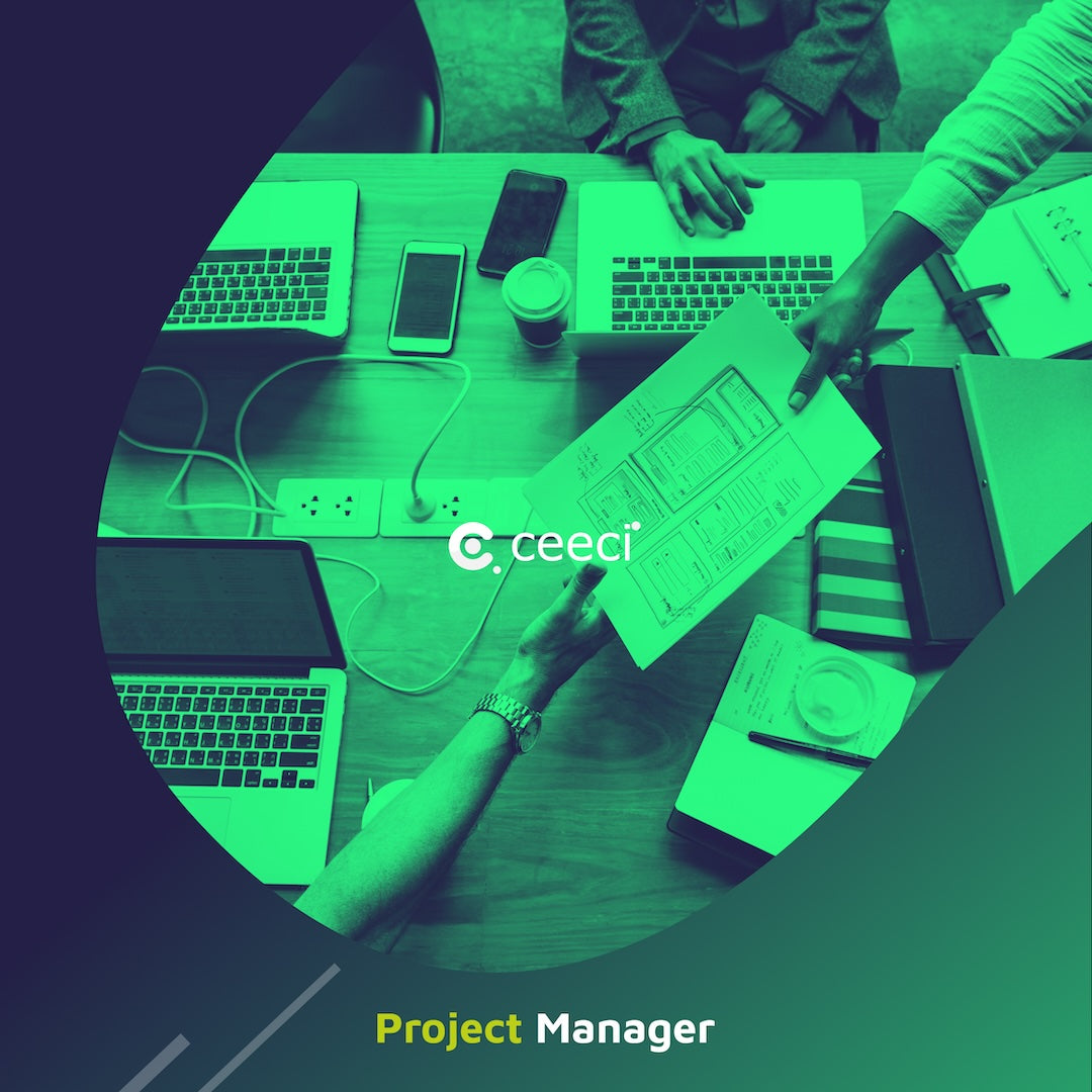 Project Manager