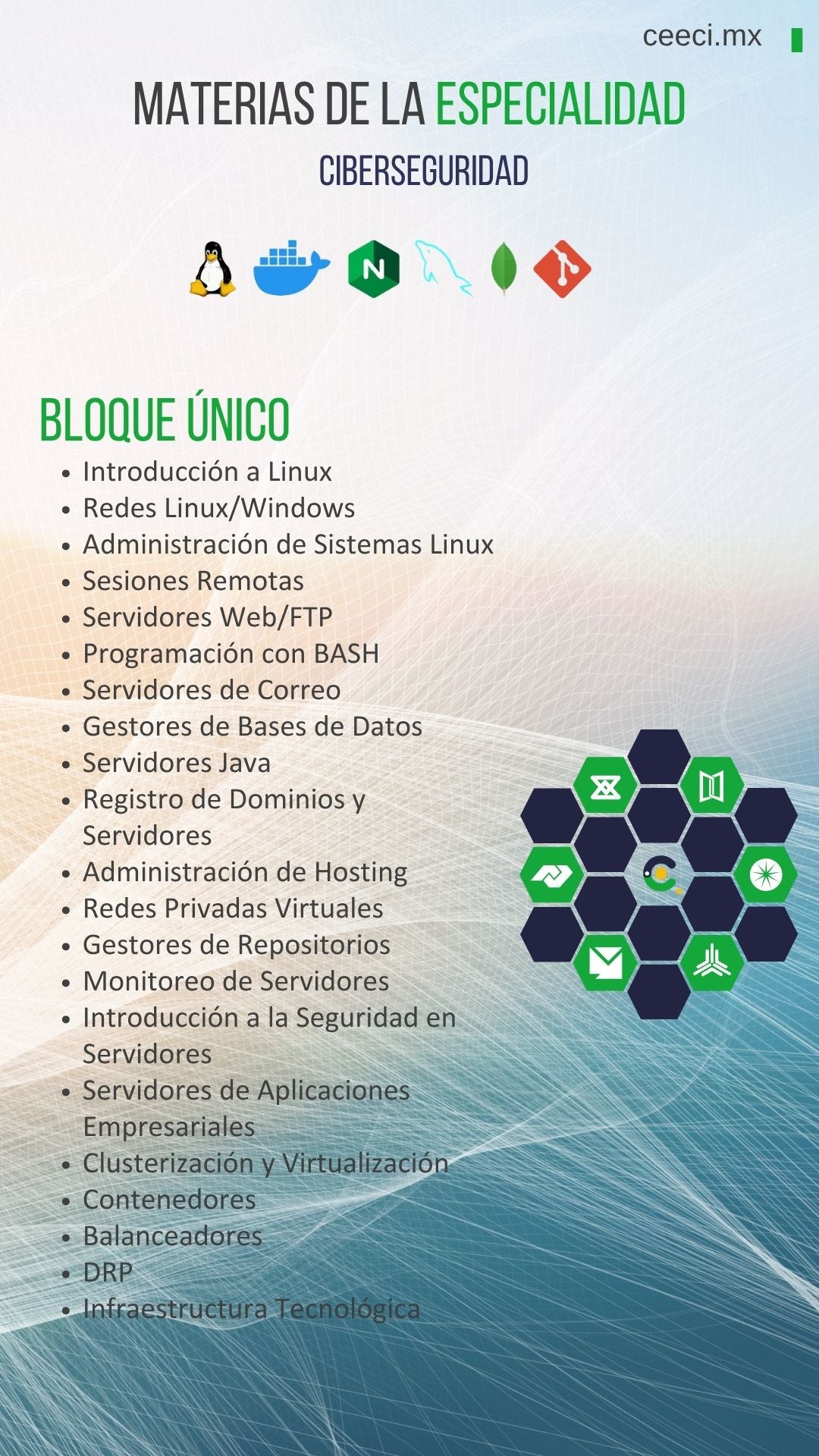 Licenciatura en Sistemas Computacionales e Informática