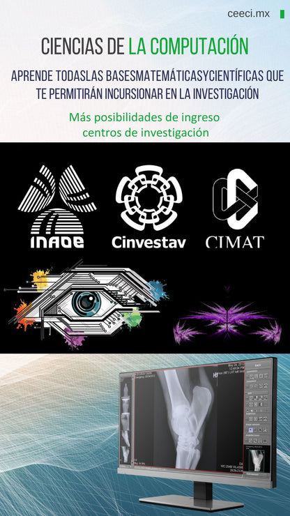 Licenciatura en Sistemas Computacionales e Informática