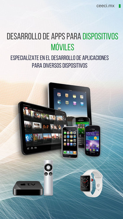 Licenciatura en Sistemas Computacionales e Informática