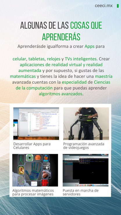 Licenciatura en Sistemas Computacionales e Informática