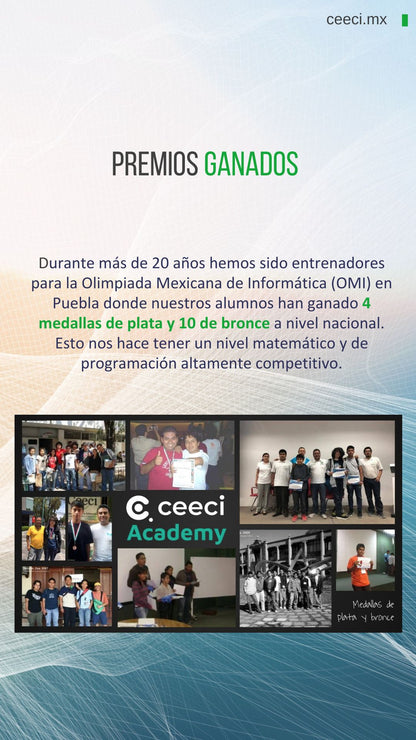 Licenciatura en Sistemas Computacionales e Informática