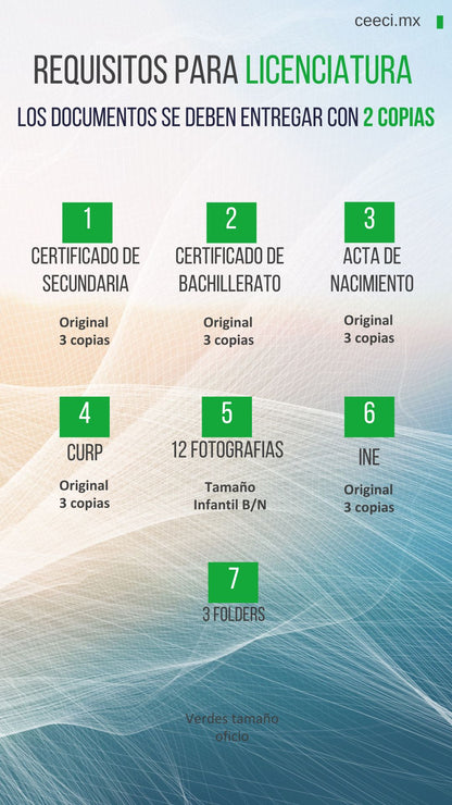 Licenciatura en Sistemas Computacionales e Informática