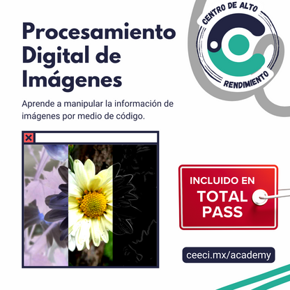 Ceeci Total Pass