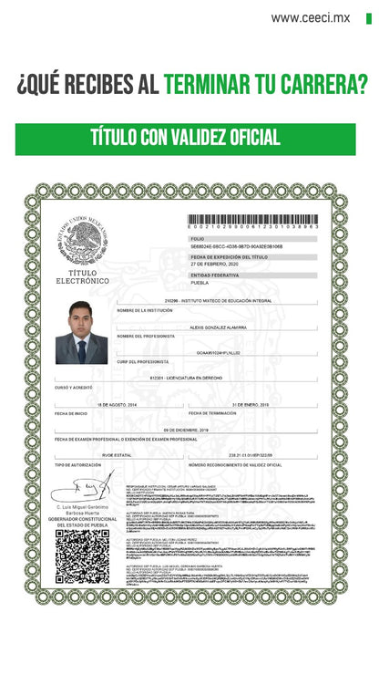 Licenciatura en Derecho