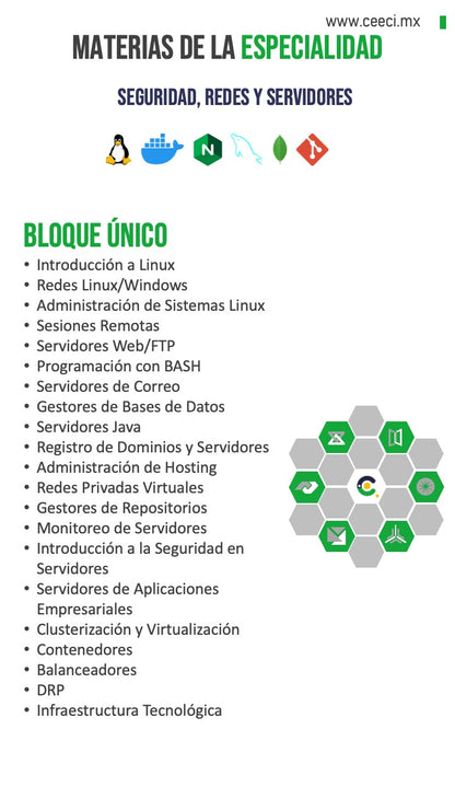 Licenciatura en Sistemas Computacionales e Informática