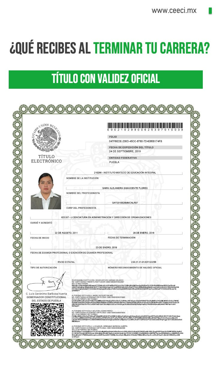 Licenciatura en Administración y Dirección de Organizaciones