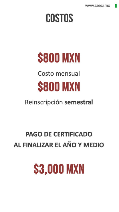 Bachillerato No Escolarizado