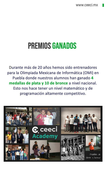 Licenciatura en Sistemas Computacionales e Informática
