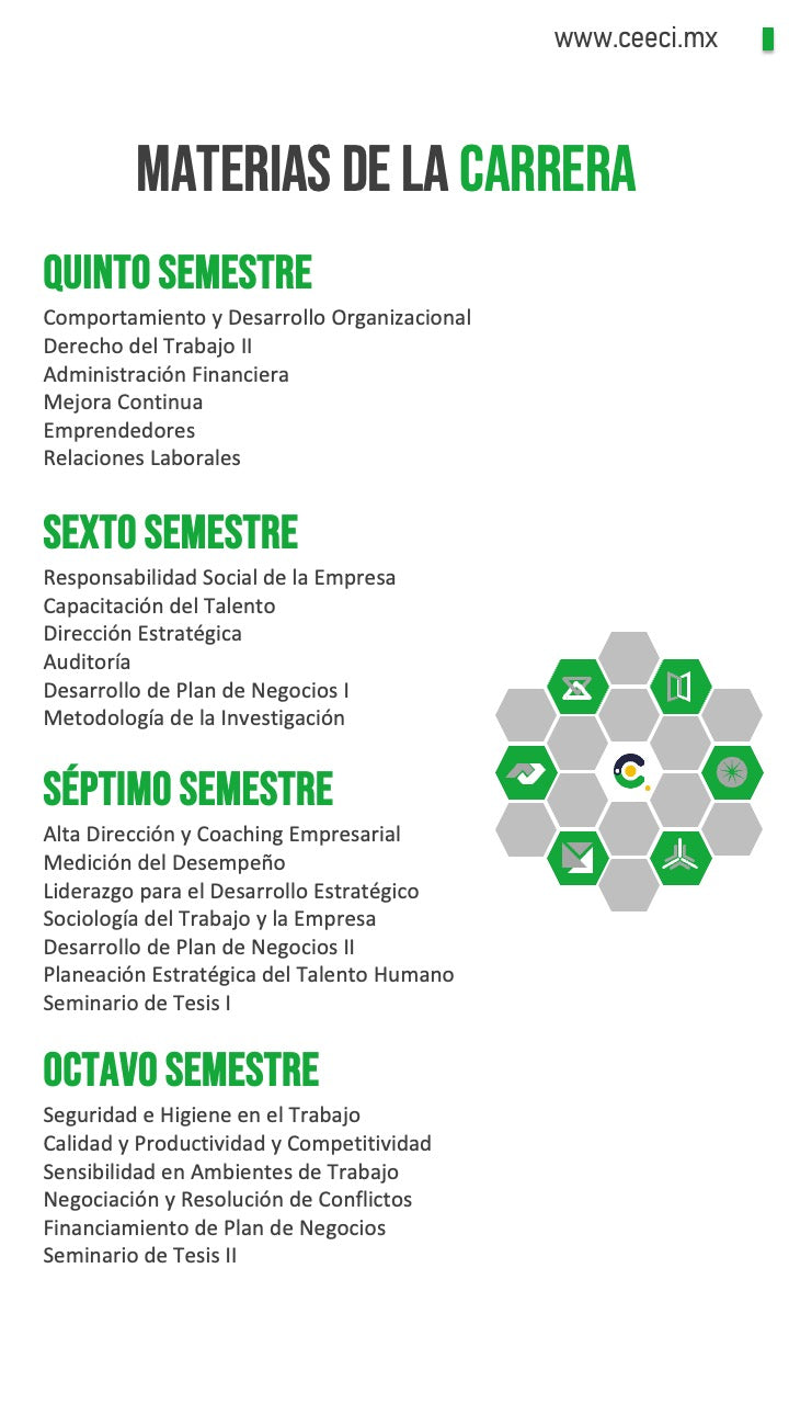 Licenciatura en Administración y Dirección de Organizaciones