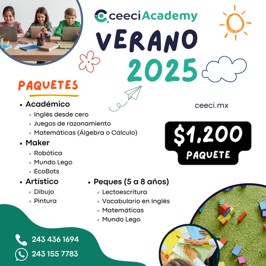 Curso de Verano 2025