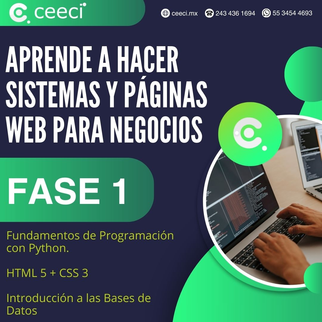 Fase 1 - Aprende a crear sistemas y páginas web para negocios