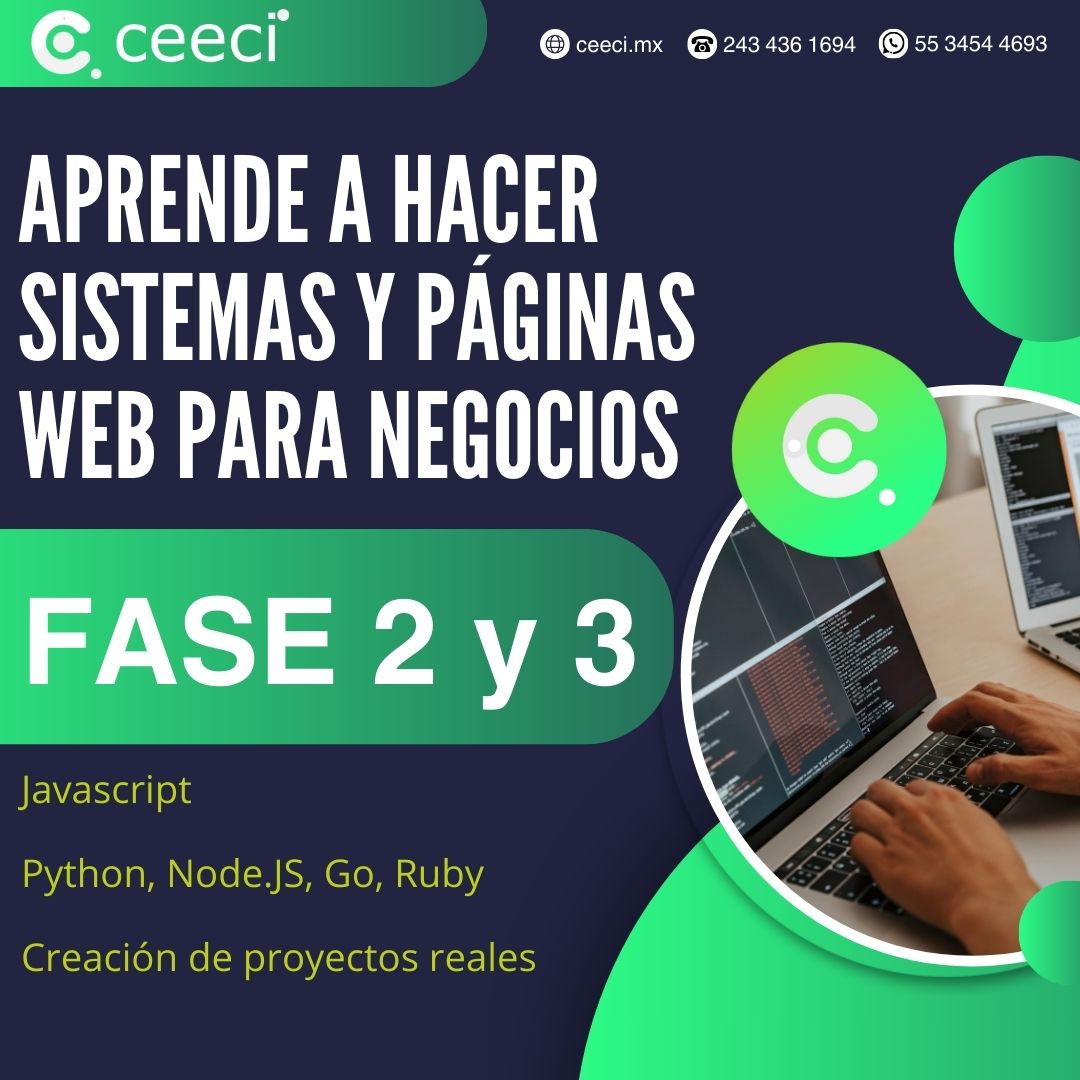 Fases 2 y 3 - Aprende a crear sistemas y páginas web para negocios