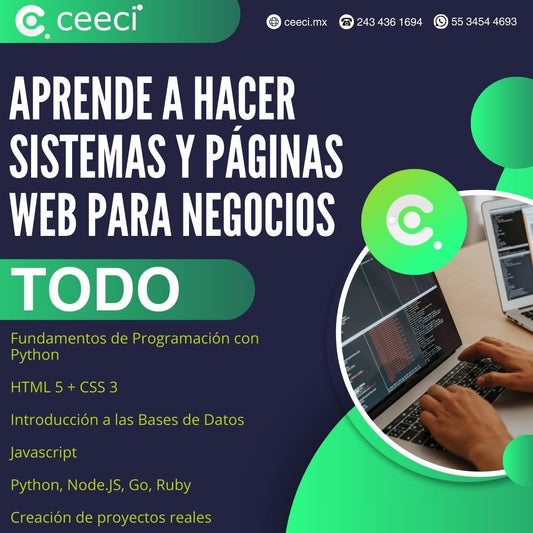 Fases 1, 2 y 3 - Aprende a crear sistemas y páginas web para negocios