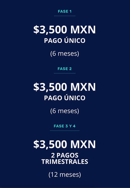 FASE 3A: Hacemos a tu hijo programador
